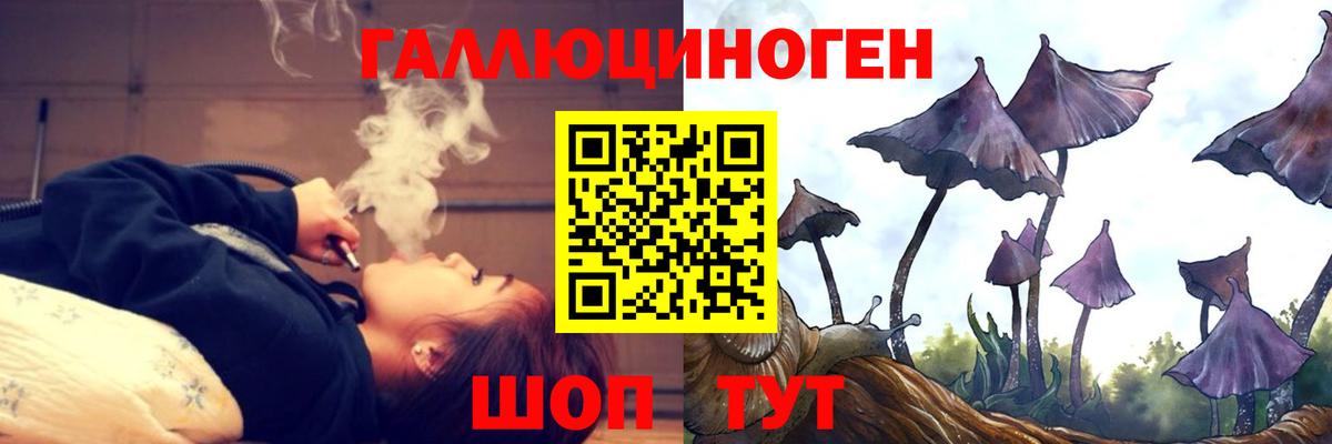 Галлюциногенные грибы прущие грибы Печора